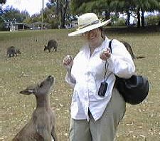 Giulia with kangaroos