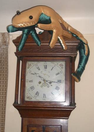 Photo of gecko on clock